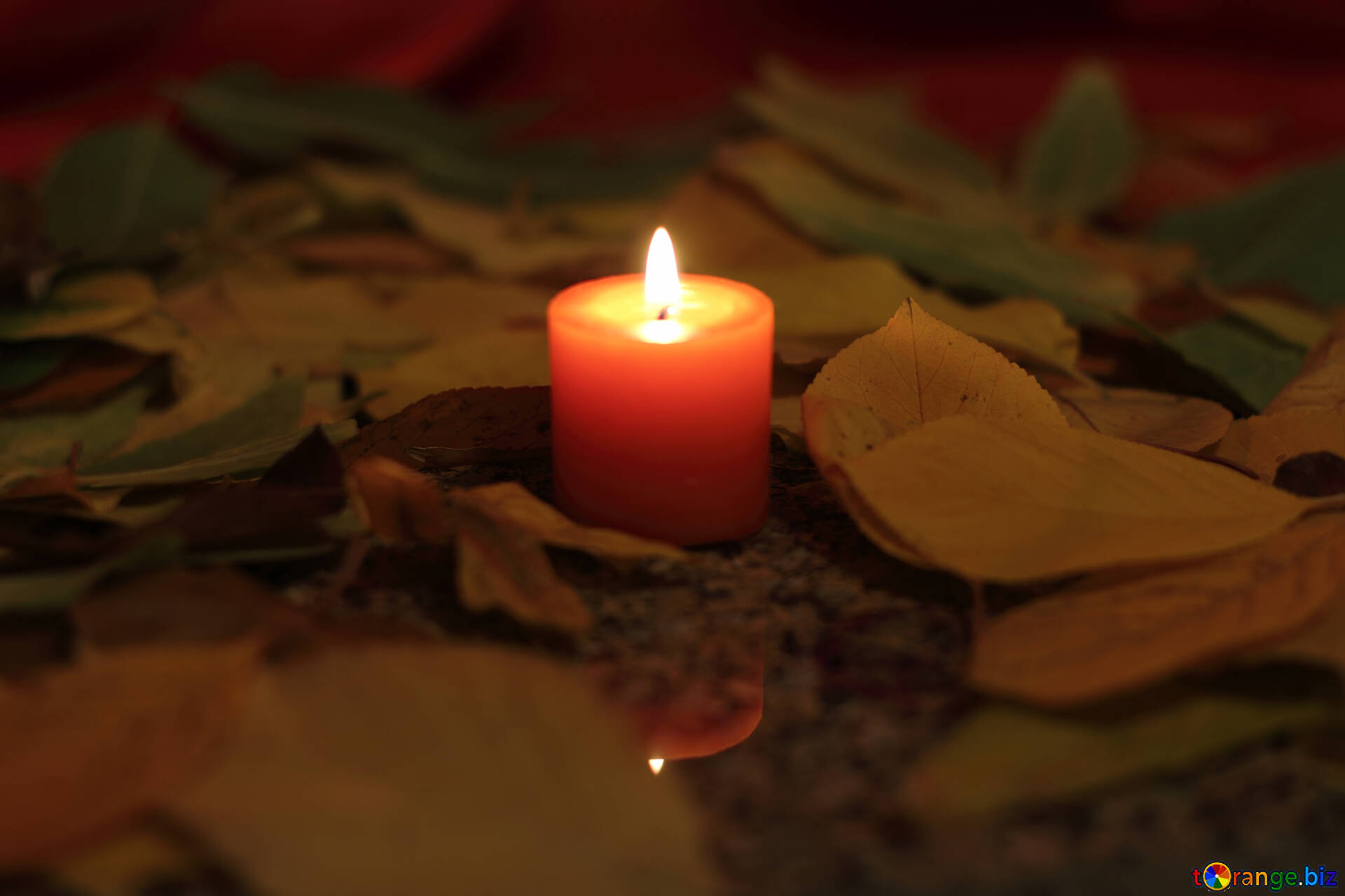 Caritina Goyanes Remembered Two Years After Her Unexpected Death